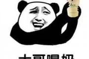 爆料茶叶大哥视频大全下载,一场茶叶文化的视觉盛宴