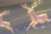 最新九色鹿爆料,揭秘神秘生物的传奇故事与神秘力量