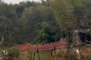 花溪新闻爆料最新情况,事件进展及最新动态揭晓