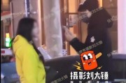 刘大锤爆料朱志鑫视频播放,刘大锤揭露朱志鑫视频播放背后的真相