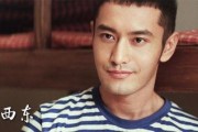 回阳寻方在线观看,揭秘中医秘方，在线观看养生之道