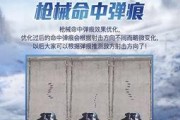 和平精英最新爆料空投,神秘空投降临，揭秘全新游戏玩法与战术策略