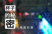 山东饭店爆料视频播放,揭露行业潜规则与真相
