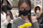 辽宁吃瓜最新事件爆料视频,揭秘幕后真相，视频爆料引热议