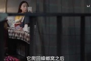 爆料小孩姐姐怎么办啊视频,事件背后真相与应对策略