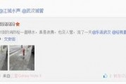 文安女士爆料微博视频,真实事件引发网友热议