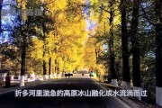 娱乐吃瓜君2,揭秘娱乐圈背后的秘密与八卦