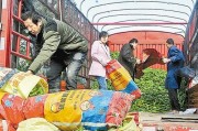 夏邑县北岭镇爆料案最新,揭秘背后真相与调查进展