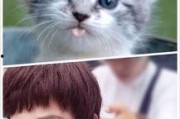 猫萌最新爆料,最新爆料带你走进神秘猫界